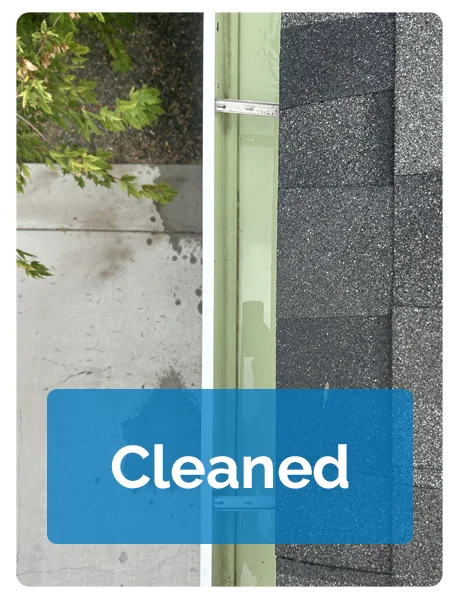 Cleaned Gutter