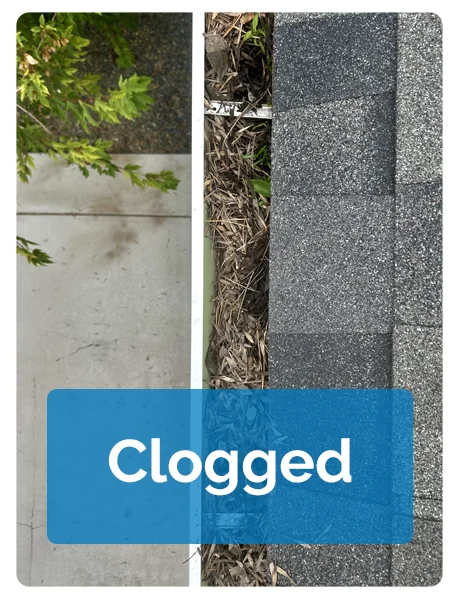 Clogged Gutter