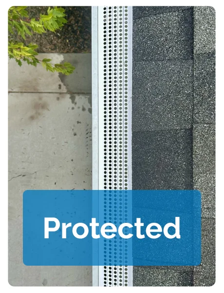 Protected Gutter Guard